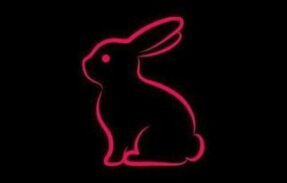 𝙄𝙉𝘾𝙀𝙎𝙏@ 𝙁𝘼𝙈𝙄𝙇𝙄𝘼𝙍 🔥